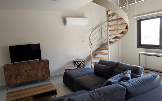 1 bedroom duplex apartment for rent