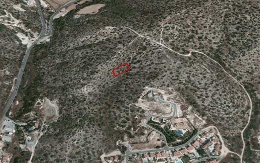 Big Agricultural Plot for sale in Pareklisia