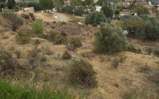 Plot for sale in Asgata