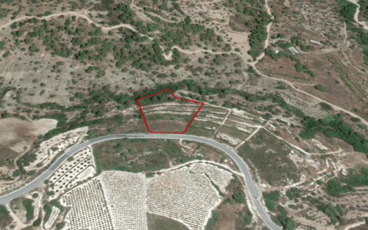 Land for sale in Agios Mamas village