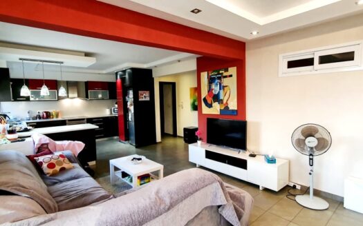 Fully furnished 3 bedroom apartment for rent