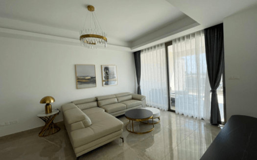 Brand new 3 bedroom penthouse for rent