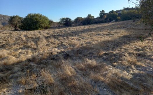 Land for sale in Asgata village