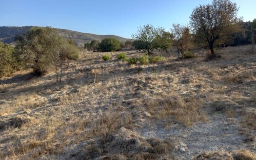 Land for sale in Asgata