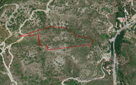 Plot for sale in Pelendri