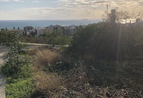 Plot for sale in Agios Tychonas