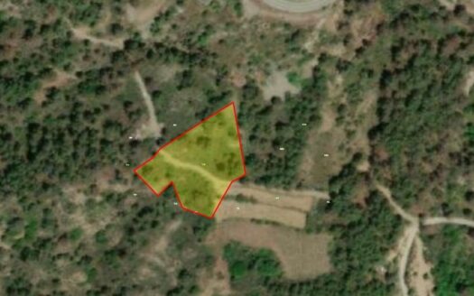 Plot for sale in Foini