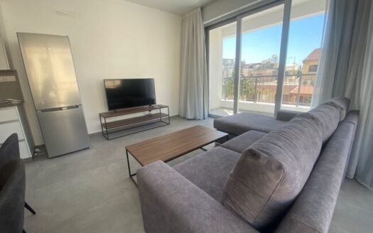 Brand-new 2 bedroom apartment for rent