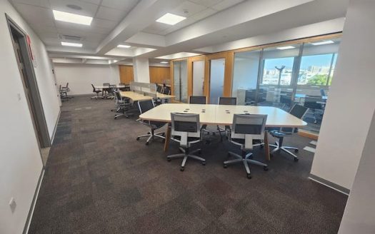 Central fully furnished and serviced office for rent