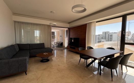 3 Bedroom brand new penthouse in Potamos Germasogeias