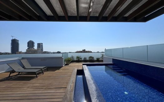 Unique 3 bedroom penthouse for sale