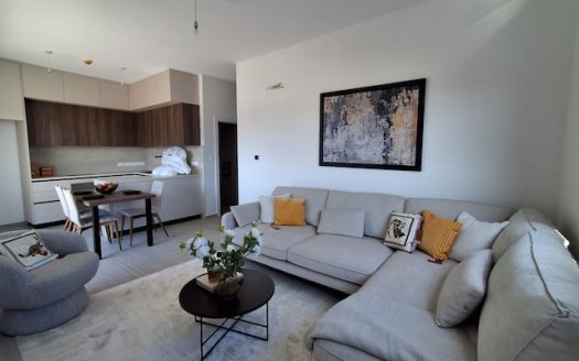 Ready 3 bedroom whole floor penthouse for sale in Apostolos Andreas