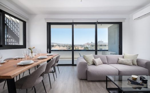 Modern 2-Bedroom Penthouse with Rooftop Terrace for Rent in Mesa Geitonia