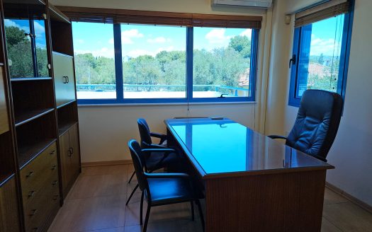 Limassol Properties for Rent