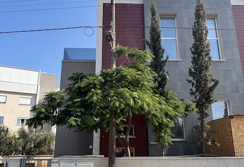 Houses for Sale in Limassol