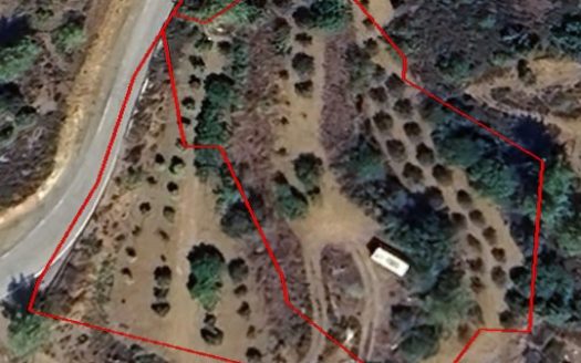 Land for Sale in Limassol