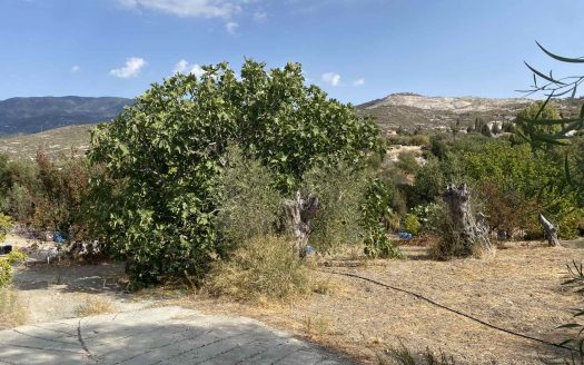 Plots for Sale in Limassol