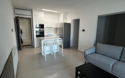 Limassol Properties for Rent