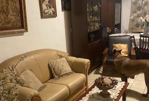 Ground Floor Property for Sale | Central Limassol (Off Gladstonos)