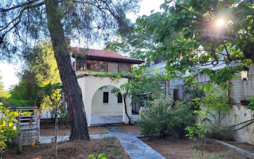 4-Bedroom House for Rent โ Kato Platres, Limassol